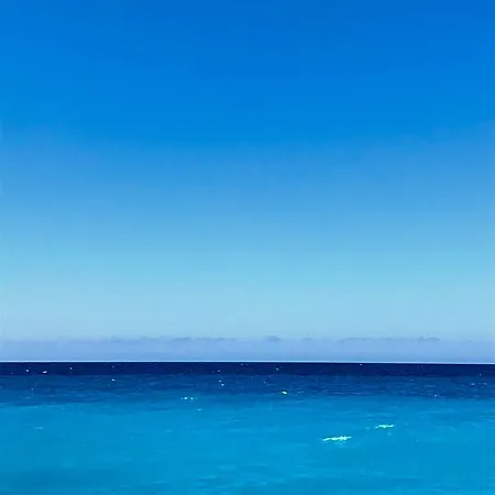 Laregina جريسوليا